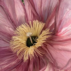 Rosalie Engagement ring