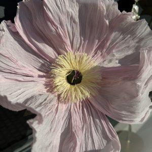 Grande Dame Wedding Ring