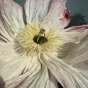 Céleste Fleuron Engagement Ring