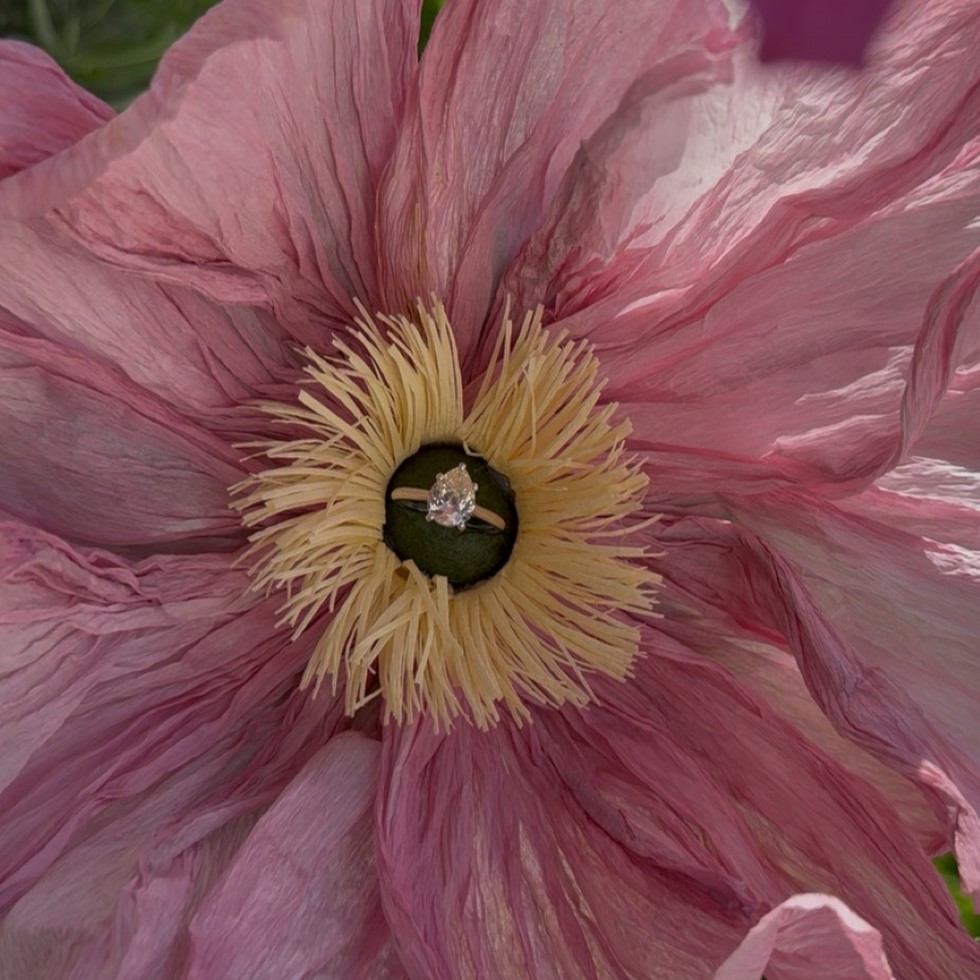 Rosalie Engagement ring - Image 2